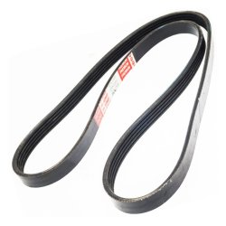 V ribbed Belt MASTER-SPORT 5PK1310-PCS-MS OE Ref A0159972992