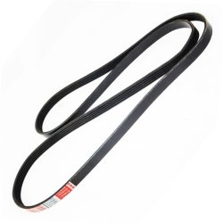 V belt MASTER-SPORT 5PK1875-PCS-MS OE Ref 11282245849