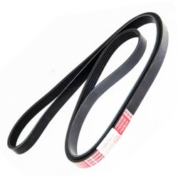 V belt MASTER-SPORT 5PK1880-PCS-MS OE Ref 11282245849