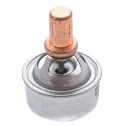 Coolant Thermostat MASTER-SPORT 6001544059-PCS-MS OE Ref 7700722762