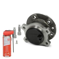 Wheel Bearing Kit + Penetrating oil MASTER-SPORT 6532-SET-MSP