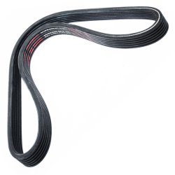 V ribbed Belt MASTER-SPORT 6DPK890-PCS-MS OE Ref 98441918