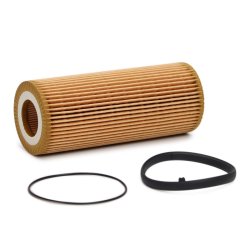 Oil Filter MASTER-SPORT 7029Z-OF-PCS-MS OE Ref 6E198563 MASTER SPORT