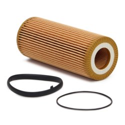 Oil Filter MASTER-SPORT 7029Z-OF-PCS-MS OE Ref 6E198563 MASTER SPORT