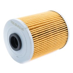 Fuel Filter MASTER-SPORT 732X-KF-PCS-MS OE Ref 5818508