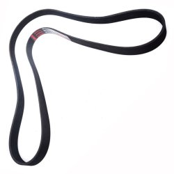 V ribbed Belt MASTER-SPORT 7PK1855-PCS-MS OE Ref 11287568247