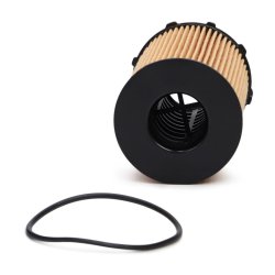 Oil Filter MASTER-SPORT 8005Z-OF-PCS-MS OE Ref 95810722220