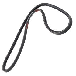 V belt MASTER-SPORT AVX-10X1250-PCS-MS OE Ref 323594 MASTER SPORT