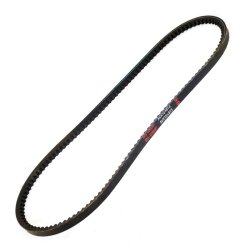 V belt MASTER-SPORT AVX-10X813-PCS-MS OE Ref 116100210300 MASTER SPORT