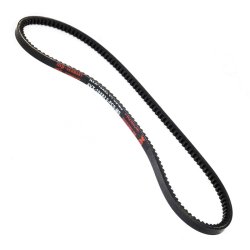 V belt MASTER-SPORT AVX-10X820-PCS-MS OE Ref 117010210300 MASTER SPORT