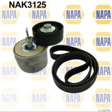 V-ribbed Belt Set NAPA NAK3125 OE Ref 1539115