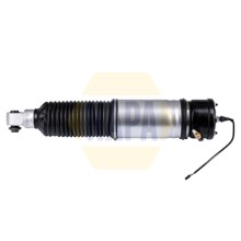 Air Suspension Strut NAPA NAS1110