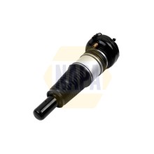 Air Suspension Strut NAPA NAS1119