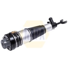 Air Suspension Strut NAPA NAS1195