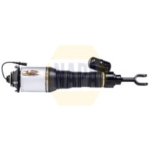 Air Suspension Strut NAPA NAS1196