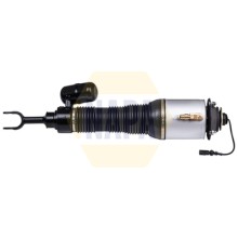 Air Suspension Strut NAPA NAS1197