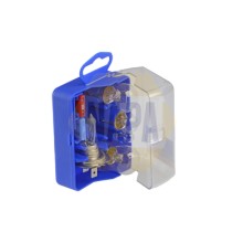 Bulbs Assortment NAPA NBKH7