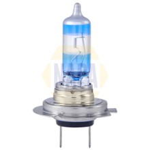 Spotlight Bulb NAPA NBU41577 NAPA