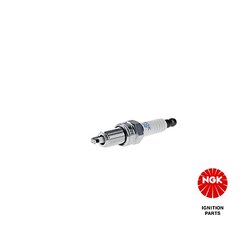 Spark Plug NGK 1691 OE Ref 55 19 07 880