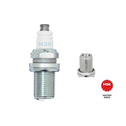 Spark Plug NGK 2000
