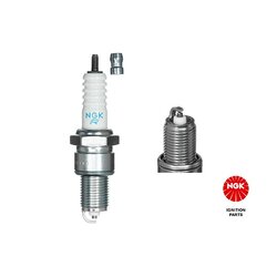 Spark Plug NGK 2023 OE Ref 60800325 NGK