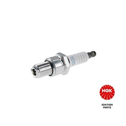 Spark Plug NGK 2396