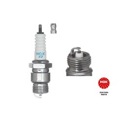 Spark Plug NGK 2922 OE Ref 5099732