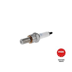Spark Plug NGK 4216 OE Ref 297945