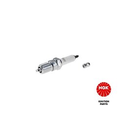 Spark Plug NGK 4666