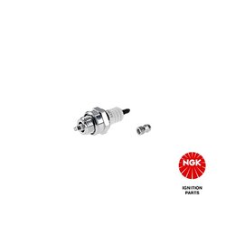 Spark Plug NGK 4921