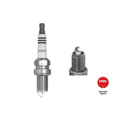 Spark Plug NGK 5690 OE Ref 59 62 485 NGK