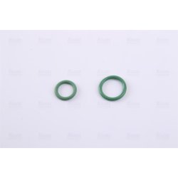 Condenser NISSENS 94322 OE Ref 77 00 876 215 NISSENS