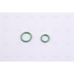 Condenser NISSENS 94891 OE Ref 6455.EF NISSENS