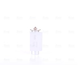 Expansion Valve NISSENS 999222 OE Ref 64116904437