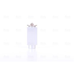 Expansion Valve NISSENS 999235 OE Ref A2208300384