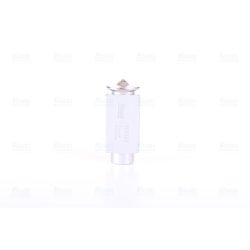 Expansion Valve NISSENS 999323 OE Ref 81619670020