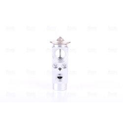 Expansion Valve NISSENS 999325 OE Ref 81619670010 NISSENS