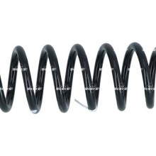 Suspension Spring NRF 832004 NRF