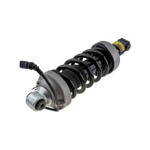 AMORTISSEUR ARRIERE Pour AUDI R8 07-15 R8 SPYDER 10-15 DROITE +AMR NTY