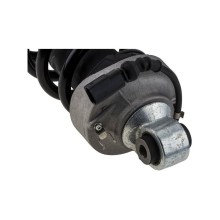 AMORTISSEUR ARRIERE Pour AUDI R8 07-15 R8 SPYDER 10-15 DROITE +AMR NTY