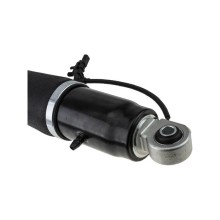 AMORTISSEUR ARRIERE Pour CADILLAC ESCALADE 14-, CHEVROLET TAHOE 14- NTY