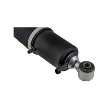 Air Suspension Strut NTY A-CH-013 OE Ref 25979393 NTY