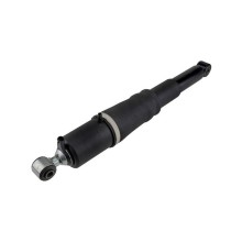 Air Suspension Strut NTY A-CH-013 OE Ref 25979393 NTY