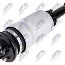 Air Suspension Strut NTY A-LR-029 OE Ref LR019993