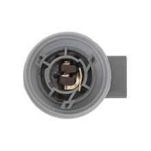 Tail Light Bulb Holder NTY EZ-FR-004 OE Ref 4425186 NTY