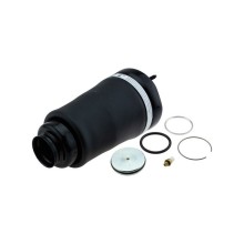 Air Suspension Strut NTY EZC-ME-190 OE Ref A1643204313 NTY