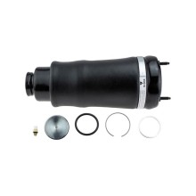 MIECH ZAWIESZENIA PNEUMATYCZNEGO Pour MERCEDES KLASA R W251 NTY