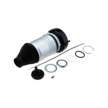 Air Suspension Strut NTY EZC-ME-211 OE Ref A2053204768 NTY