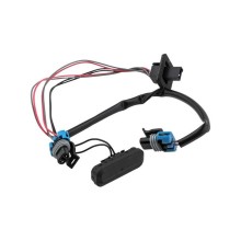 POIGNEE DE COFFRE Pour OPEL INSIGNIA A COUNTRY TOURER 2009- DO NUMERU NTY