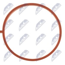 USZCZELKA PRZEWODU POWIETRZA Pour ENG 1.2TCE RENAULT MEGANE IV 15- NTY
